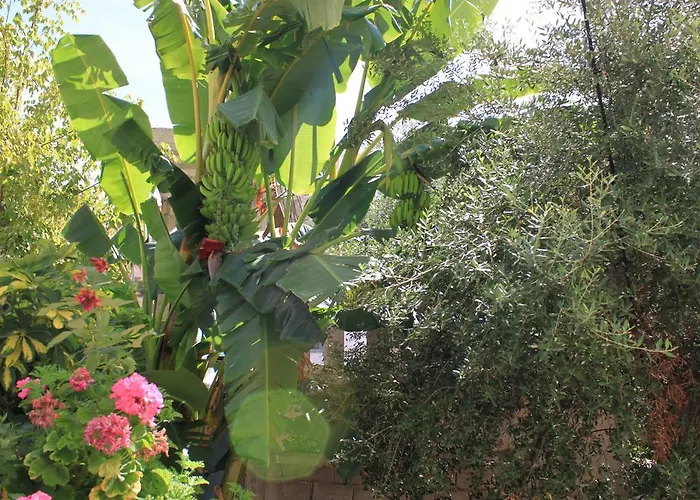 Πανσιόν Mucho Σαράντα