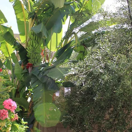 Guest house Mucho Sarande